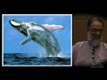 Connecting With Allah - Yawar Baig