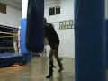 Ultimate Full Contact - Jump Spinning Back Kick