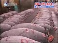 築地