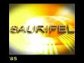 SEGREDO DO SUCESSO - SAURIFEL