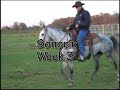 Sonora with Robert Carlson