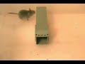 Re: Cruel Mouse Traps