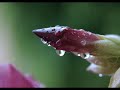 Psicologia y Seduccion. El arte de despertar: Deseo, Interés Psicologia y Seduccion. El arte de despertar: Deseo, Interés