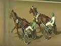 Yield Boko - Semifinal Breeders\
