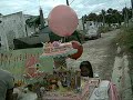 daniela\
