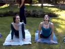 Yoga Vision