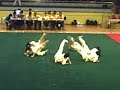YJC Wushu