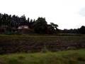 Iwate Countryside