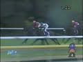 第28回 ジャパンカップ / スクリーンヒーロー