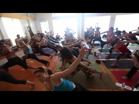 Embodying the Flow: Prana Flow Teachers Training
