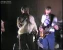 DALTONS LIVE SWEDEN 1986 - Adios Mexico