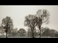 la-chanson-du-dimanche-11.html