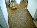 poohbear my puppys love poohbear my puppys love