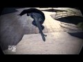 Skate-2-Montage-Lous