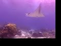 Derawan  Part I