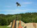 Nils Hermann whip 