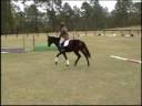videos de Royal Debut