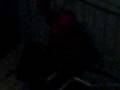videos de dennis bei parkour