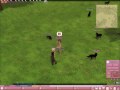 Mabinogi- Hunting Black wolves