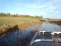 everglades airboat ride