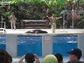 Zoo Negara