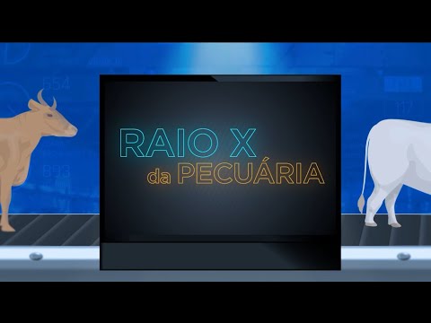 Raio-X da Pecuária: período de transição de vacas leiteiras requer reforços nutricionais