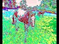 Horse Of A Different Colour