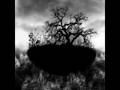 AFI - Spoken Word