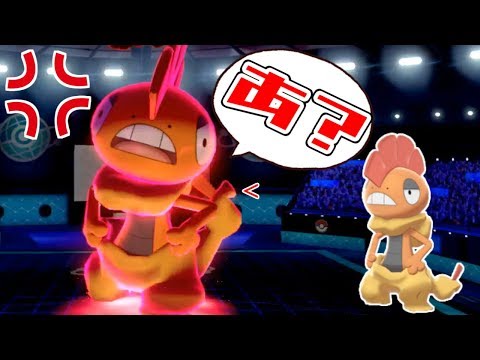 動画