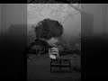 Snowstorm - Jul