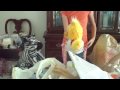 Build-A-Bear Haunted House: Part 2