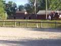 Faith Cantering in My Lesson