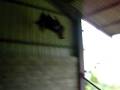 videos de Salto.