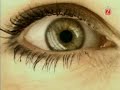 Thumbnail #3