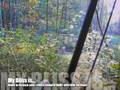 videos de Backyard Bliss