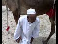 سوداني طيييب