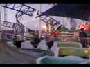 Faiq at Santa Cruz (Amuzement Ride)