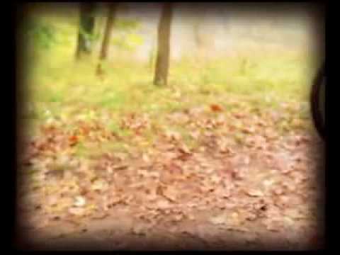 YouTube Трейлер