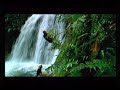 Comite Tourisme Guadeloupe