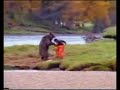 John West Bear Fight Advert