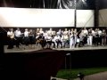 Videirinha