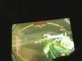 Flare vs PC FoxxJ  [Quality Test Video]
