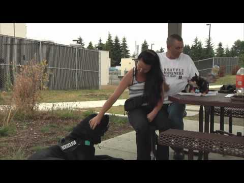 Military Dog Video of the Week(August 23th, 2012): Service Dogs 0 Military Dog Video of the Week(August 23th, 2012): Service Dogs
