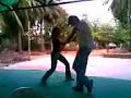 GreeN DraGon y Daly Bailando Merengue