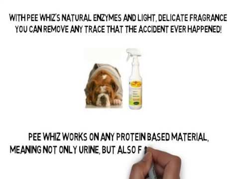 how to eliminate human urine smell