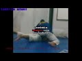 GRACIE BARRA CAVEIRINHA TE�FILO OTONI