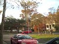 Flip Mino test 3 - my neighboorhood