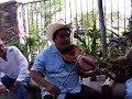 Violinista Trovador de la Huasteca