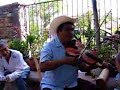 Violinista Trovador de la Huasteca