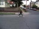 2flynate wit the Rock